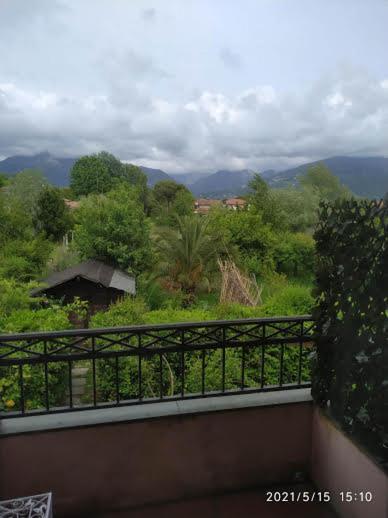 B&B La Casa Di Elsa 马里纳迪马萨 外观 照片